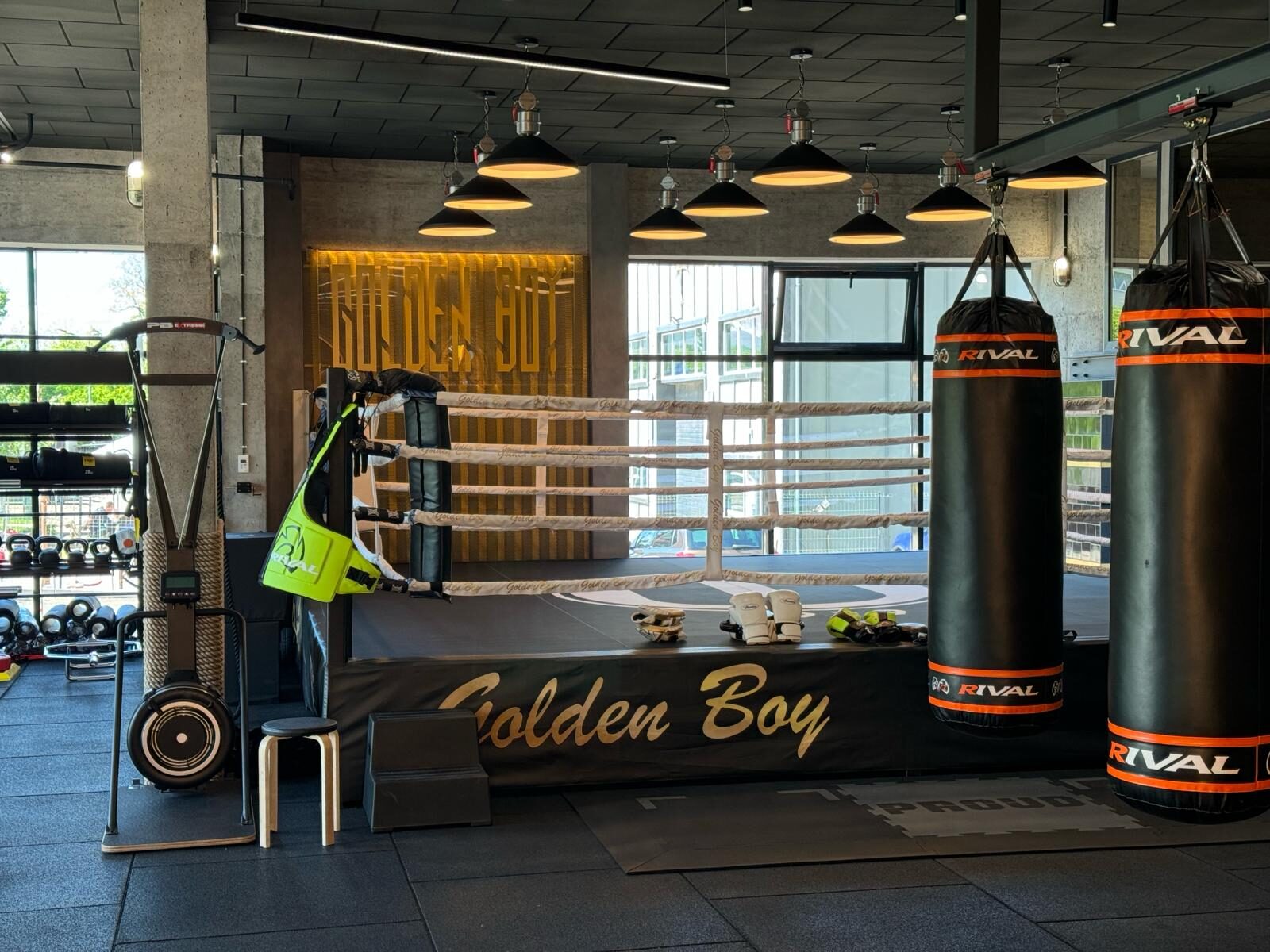 Sportivi Golden Boy la o competiție de box