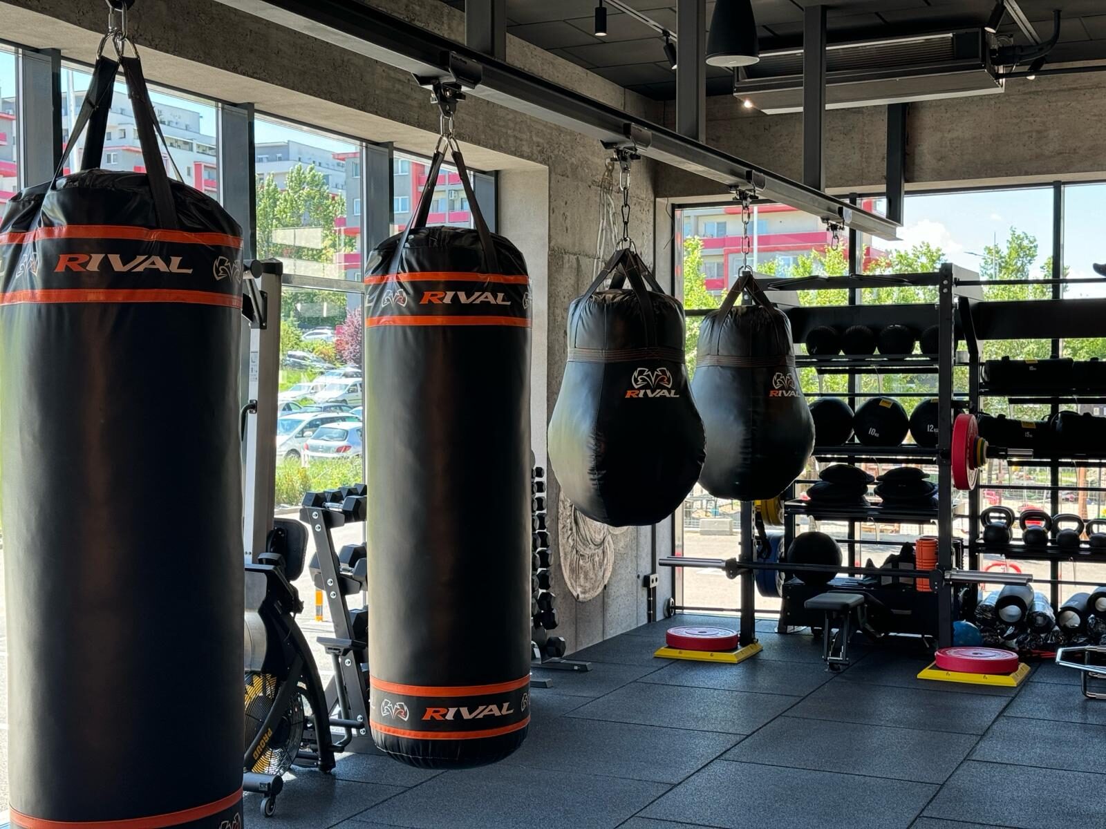 Sportivi Golden Boy la o competiție de box